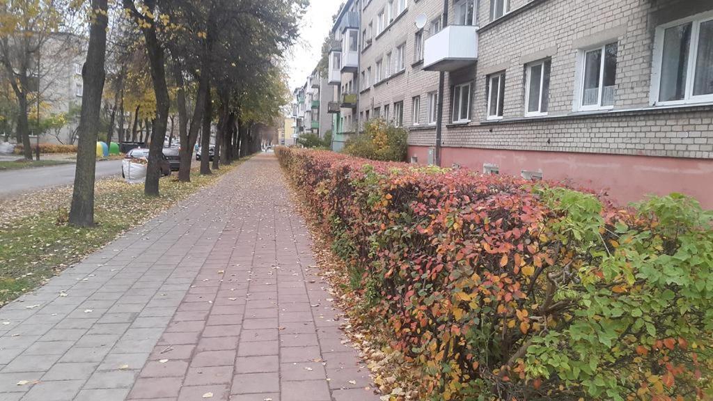 Apartment For You Шяуляй Экстерьер фото